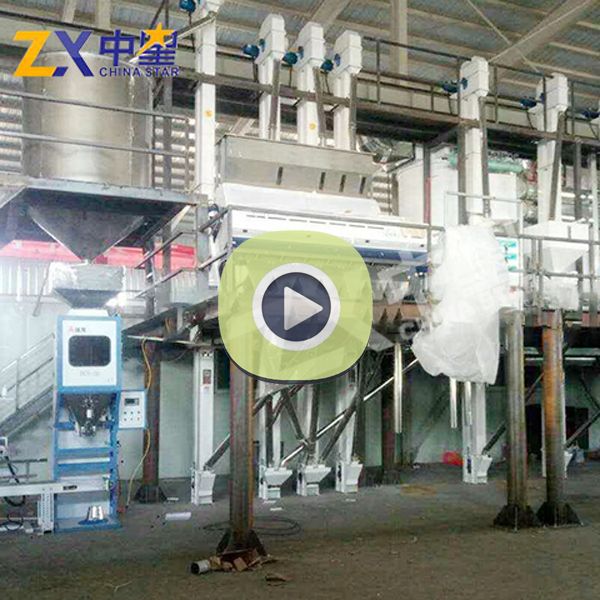 日产50吨藜麦加工成套设备