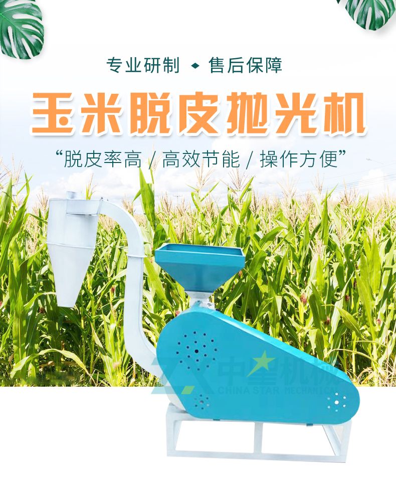 玉米脱皮抛光机_01.jpg