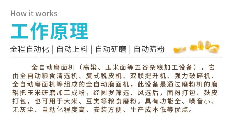 日产12吨全自动玉米磨粉成套设备