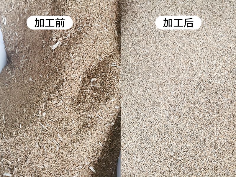 日产24吨新型藜麦去皂苷抛光成套设备03_Jc.jpg