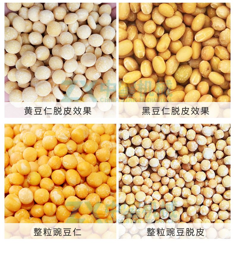 S18多功能大豆脱皮机_11.jpg