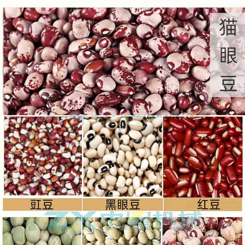 猫眼豆脱皮机